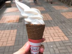 -富豪雪糕车流动点(尖沙咀店)
