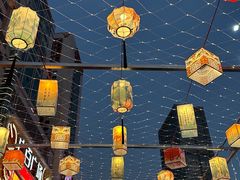 -越秀西湖花市(广州城市广场花卉店)