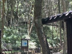 -富春桃源风景区