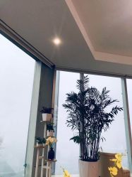 点击看大图 -久匠半永久纹眉