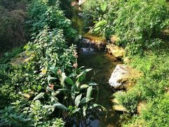 -广州市石门国家森林公园