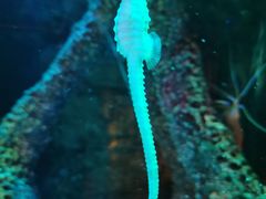 -沈阳海洋探索中心