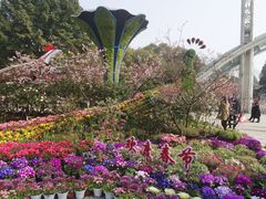 -南山植物园