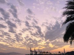 -鼓浪屿内厝澳码头(轮渡站)
