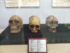 -北京周口店北京人遗址博物馆