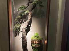 -觀芷隐轩