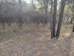 -森林公园(尖草坪区)