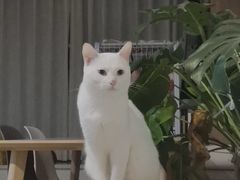 -联合动物医院(光谷诊疗中心)