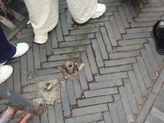 -韶山毛泽东同志故居