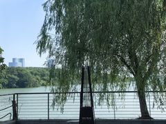 -艾溪湖湿地公园