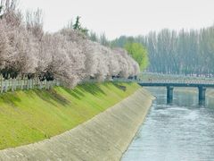 -汉长安城未央宫国家考古遗址公园