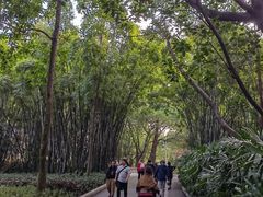 -晓港公园