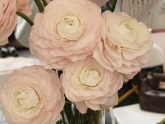 -Flower in(密渡桥店)