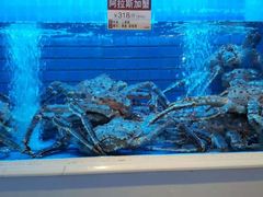 -金苑海鲜酒家(来魅力店)