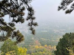 -北京西山国家森林公园