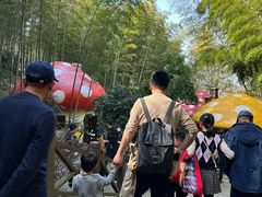 -天目湖山水园