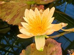 -国家植物园南园