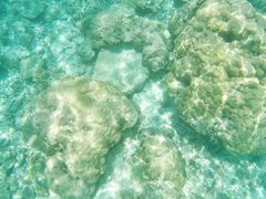 -东姑阿都拉曼海洋公园