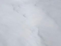 -上海浦东国际机场-T2航站楼