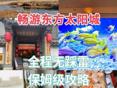 -日照海滨国家森林公园