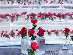 -万达广场(龙湖店)