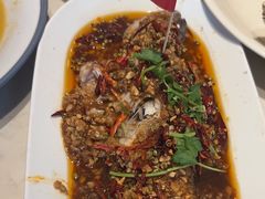 -杨氏青龙虾·羊蝎子(金盛路总店)