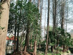 -中山公园