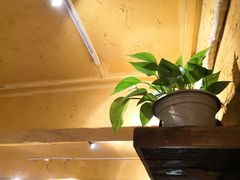 -霄汉羊排(万松园一店)
