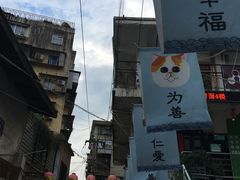 -猫咪博物馆(顶澳仔猫街店)