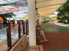 -上海玛雅海滩水公园