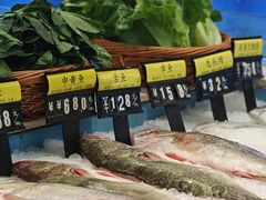 -莆鑫海鲜城(浏河店)