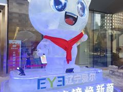 -东北大学附属辽宁爱尔眼科医院