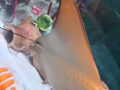 -沈阳海洋探索中心