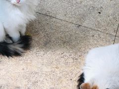 -龙达温泉生态城