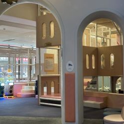 点击看大图 -超级奈尔宝SUPER NEOBIO(杭州星光店)