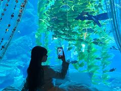 -南昌融创海世界