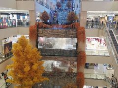 -眷茶(赛格国际购物中心店)