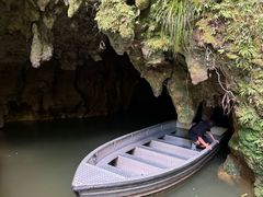 -怀托摩萤火虫洞