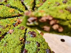 -长风源·寻衢味(20年老店)