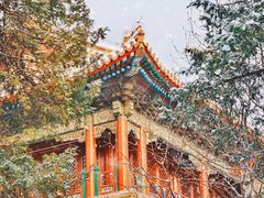 -故宫博物院(故宫)