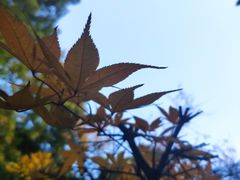 -团城山公园