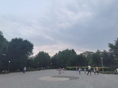 -望湖公园
