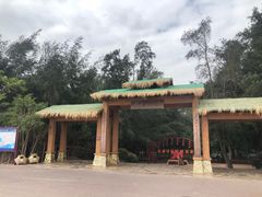 -北海金海湾红树林生态旅游区