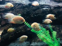 -苏州海洋馆