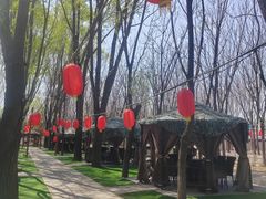 -草根堂农场