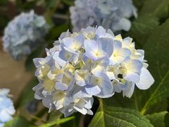 -北京石刻艺术博物馆(五塔寺)