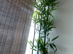 -君之悦·明镜台·SPA古禅足道(解放碑店)