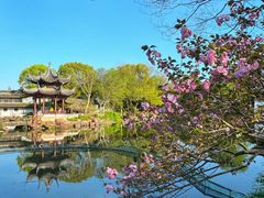 -西溪国家湿地公园