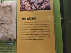 -天津自然博物馆