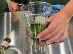 -THE MATCHA TOKYO抹茶东京